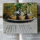 Petri Kautto - Earth Turtle (CD) - pikkukuva 1