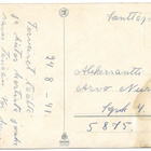 Elena Kojine (1937) Hedelmäasetelma KT 127/5 - pikkukuva 2