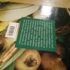 UUSI KEVYT KEITTIÖ - pikkukuva 5