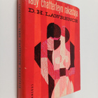 D. H. Lawrence : Lady Chatterleyn rakastaja - pikkukuva 1