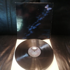 Mike Oldfield - Platinum (1979) - pikkukuva 2