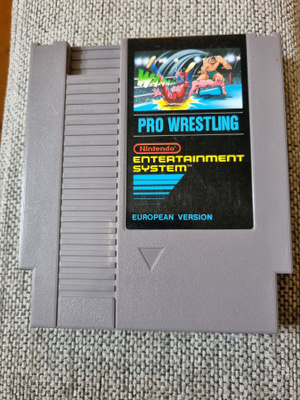 Pro Wrestling