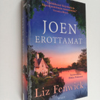 Liz Fenwick : Joen erottamat - pikkukuva 1