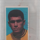 Clodoaldo Brasilia signed - pikkukuva 1