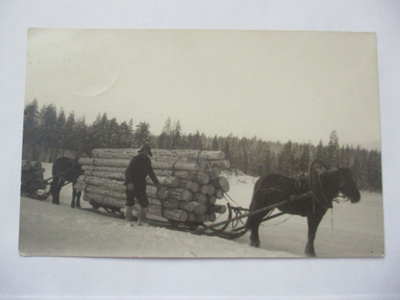 Ägläjärvi Tukinajo - 1929 os Annantehdas, tulol.