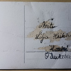 Pajunkissoja, kultausta, k. k-k - pikkukuva 2