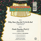 BUCKWHEAT ZYDECO::WHY DOES LOVE GOT TO BE SO SAD: VINYYLY 7" - pikkukuva 2