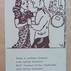 Sotilas tanssii. Suomen Aliupseeri, KP 1941 lotalta lotalle - pikkukuva 1