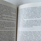 F. E. SILLANPÄÄ: HURSKAS KURJUUS - pikkukuva 5