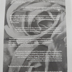 Margaret Hooks : Tina Modotti : photographer & revolutionary - pikkukuva 2