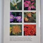 Mary Parker Buckles : The Flowers Around Us : A Photograp... - pikkukuva 2