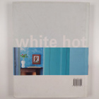 Tricia Guild : White hot : cool colors for modern living - pikkukuva 2