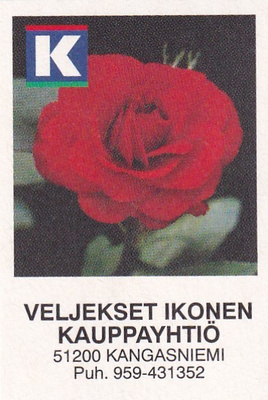Kangasniemi, Veljekset Ikonen    , 8/12