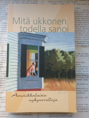 Mitä ukkonen todella sanoi: amerikkalaisia nykynovelleja