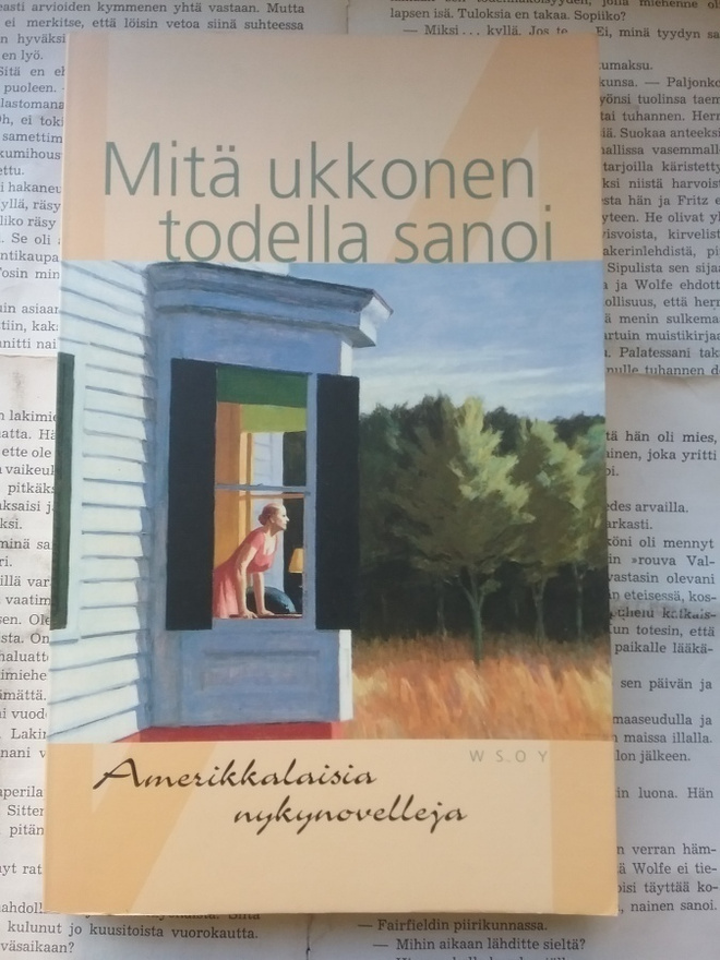 Mitä ukkonen todella sanoi: amerikkalaisia nykynovelleja