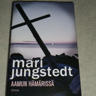 Jungstedt: Aamun hämärissä - pikkukuva 1