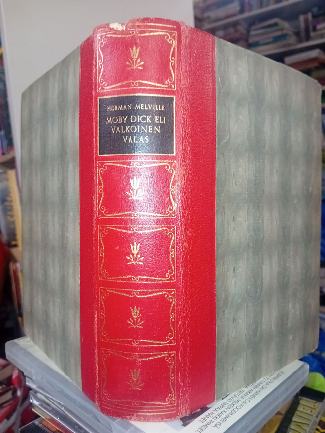 Melville  : Moby Dick eli Valkoinen valas ( SIS POSTIKULU  )