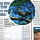 Metsästäjä n:o 5 2004 Perustetut kosteikot metsästyskäytössä - pikkukuva 4