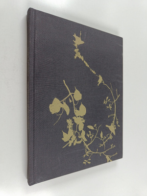 Saara Ekström : Grotesque & arabesque