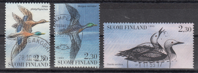 1993 Vesilintuja loistoleimattu
