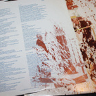 Mike Rutherford (Genesis) - Smallcreep's Day LP - pikkukuva 4