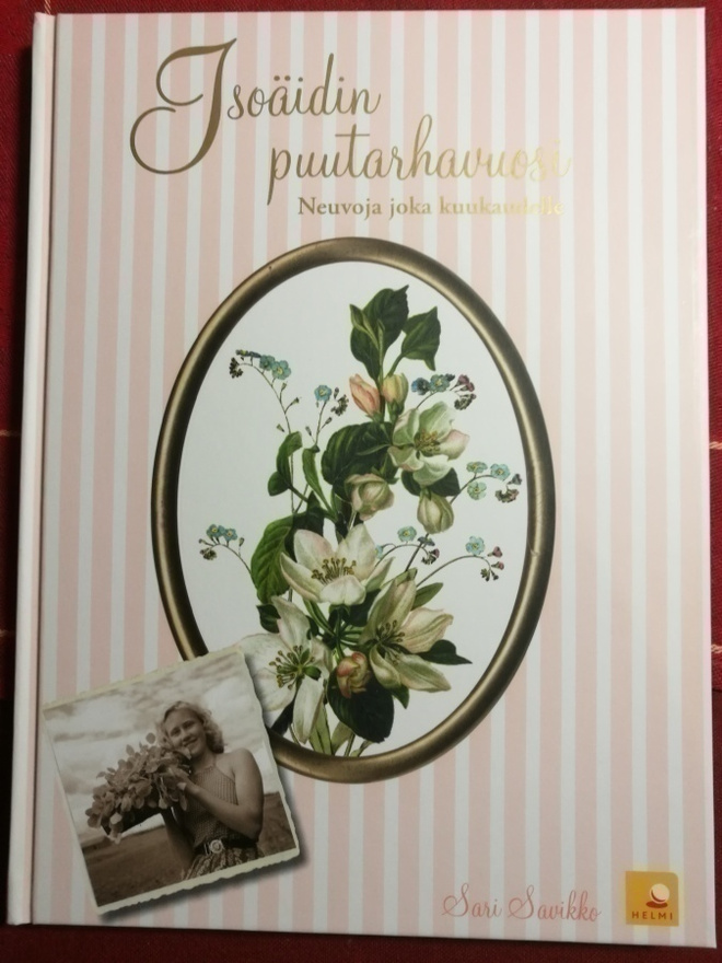 Isoäidin puutarhavuosi - Savikko Sari