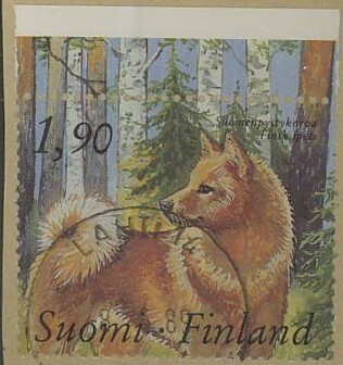 1989 1,90 pystykorva Lahti -89 loisto
