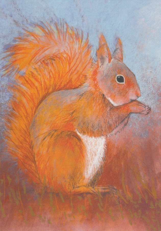 Loes Botman: Orava (postikortti)