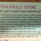 PÄHKÄHULLU SUOMI (DVD) PELKKÄ LEVY - pikkukuva 2