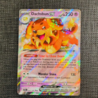 Dachsbun ex 67/142 Ultra Rare - pikkukuva 1
