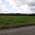 Peltoa 3 ha + metsää n. 0,5 ha - pikkukuva 1