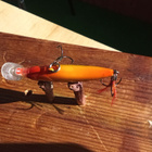Rapala X-Rap 4cm ahvenelle - pikkukuva 4
