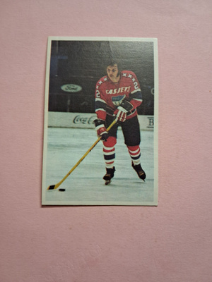 Panda. Jääkiekkokoulu. 17.