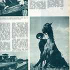 Kuluttaja n:o 2/3 1962 Taiteilija Myd Metshev. Unkarin pusta - pikkukuva 3