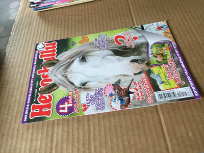 HEVOSHULLU 14/2015 +julisteet HYVÄ