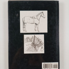 Tricia Johnson : The First Time Horse And Pony Owner - pikkukuva 2