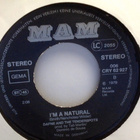 DAFNE & THE TENDERSPOTS  ::  DISCO HELL :: VINYYLI 7"   1979 - pikkukuva 2