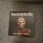 Iron Maiden the book of souls  LP - pikkukuva 1