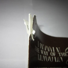 LINCOLN THE WAY OF THE ZEPHYR 6 / 1981 - pikkukuva 4