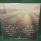 THE BOUNCING SOULS - GHOSTS N THE BOARDWALK EX/M- LP - pikkukuva 2