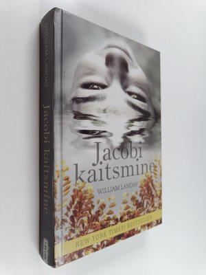 William Landay : Jacobi kaitsmine