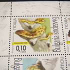 Bulgaria 2004: pienoisarkki - kääpäsienet - pikkukuva 3