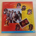 LP David Lindley - pikkukuva 2