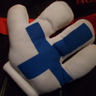 Suomi - pikkukuva 1