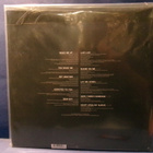 AVICII - TRUE EX-/EX EU 2013 1ST PRESS LP - pikkukuva 2