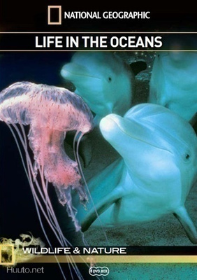 ¤¤¤ National Geographic - Life in The Ocean (3 disc) *UUSI*