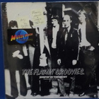 THE FLAMIN GROOVIES - JUMPIN IN THE NIGHT - EX+/EX+ - pikkukuva 1
