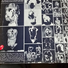 The Rolling Stones: Emotional Rescue LP - pikkukuva 2