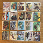 Panini Dinosaurs tarrakuvat - pikkukuva 1