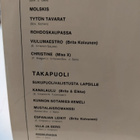 Isojen poikien lauluja 1-2 & Riemurasia - pikkukuva 4